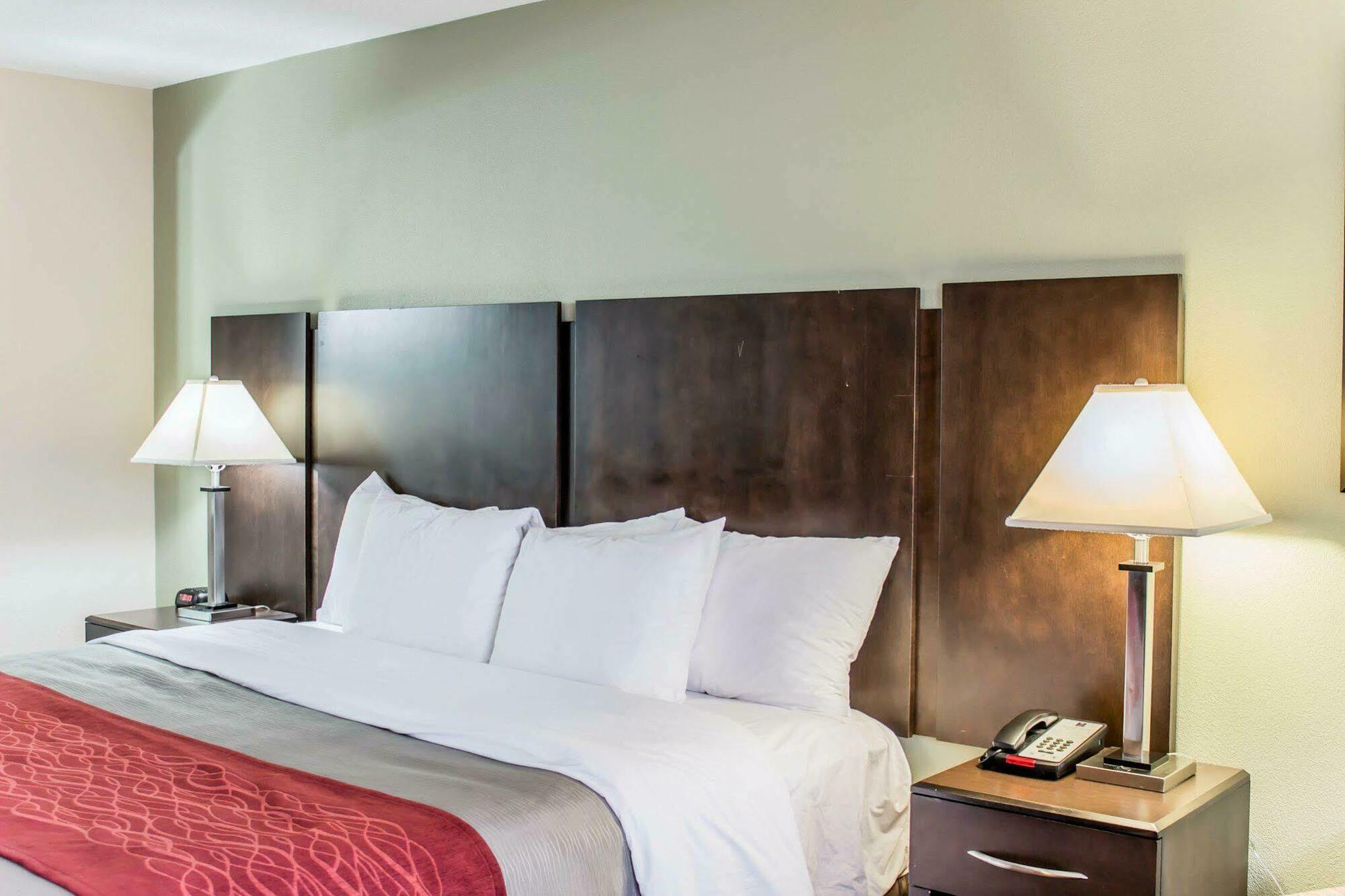 Quality Inn Raleigh Downtown מראה חיצוני תמונה